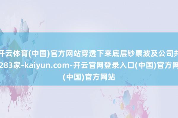 开云体育(中国)官方网站穿透下来底层钞票波及公司共有283家-kaiyun.com-开云官网登录入口(中国)官方网站