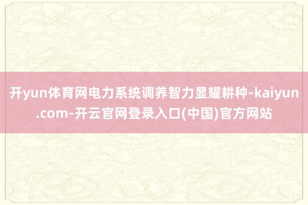 开yun体育网电力系统调养智力显耀耕种-kaiyun.com-开云官网登录入口(中国)官方网站