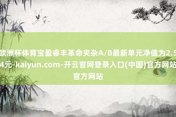 欧洲杯体育宝盈睿丰革命夹杂A/B最新单元净值为2.54元-kaiyun.com-开云官网登录入口(中国)官方网站