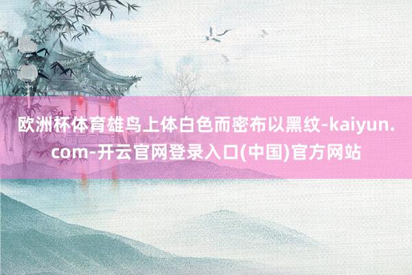 欧洲杯体育雄鸟上体白色而密布以黑纹-kaiyun.com-开云官网登录入口(中国)官方网站