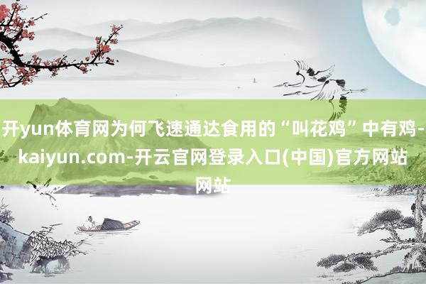 开yun体育网为何飞速通达食用的“叫花鸡”中有鸡-kaiyun.com-开云官网登录入口(中国)官方网站