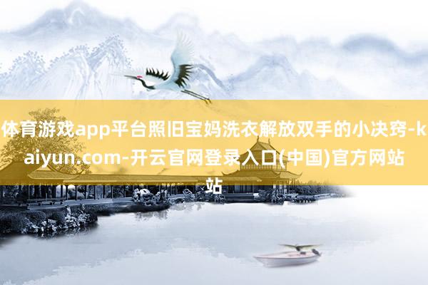 体育游戏app平台照旧宝妈洗衣解放双手的小决窍-kaiyun.com-开云官网登录入口(中国)官方网站