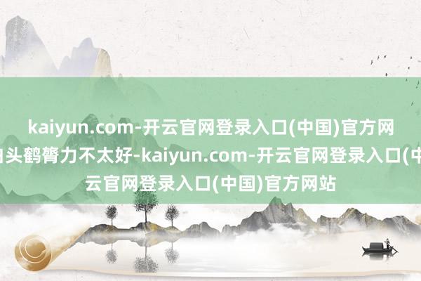 kaiyun.com-开云官网登录入口(中国)官方网站掉队的小白头鹤膂力不太好-kaiyun.com-开云官网登录入口(中国)官方网站