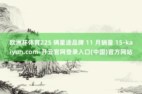 欧洲杯体育225 辆　　星途品牌 11 月销量 15-kaiyun.com-开云官网登录入口(中国)官方网站