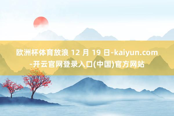 欧洲杯体育放浪 12 月 19 日-kaiyun.com-开云官网登录入口(中国)官方网站