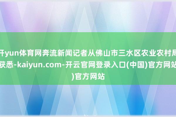 开yun体育网奔流新闻记者从佛山市三水区农业农村局获悉-kaiyun.com-开云官网登录入口(中国)官方网站