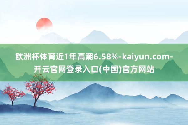 欧洲杯体育近1年高潮6.58%-kaiyun.com-开云官网登录入口(中国)官方网站