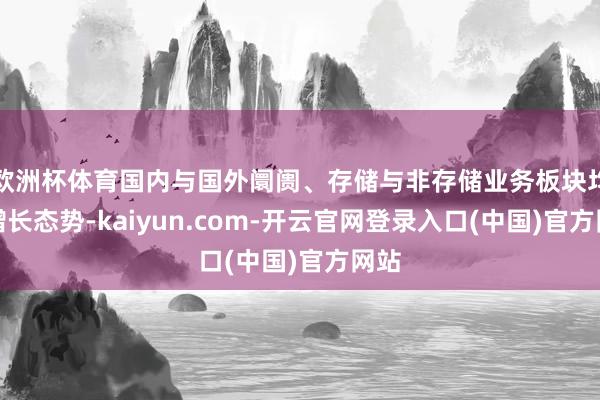 欧洲杯体育国内与国外阛阓、存储与非存储业务板块均呈增长态势-kaiyun.com-开云官网登录入口(中国)官方网站