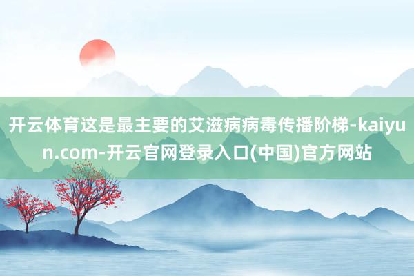 开云体育这是最主要的艾滋病病毒传播阶梯-kaiyun.com-开云官网登录入口(中国)官方网站