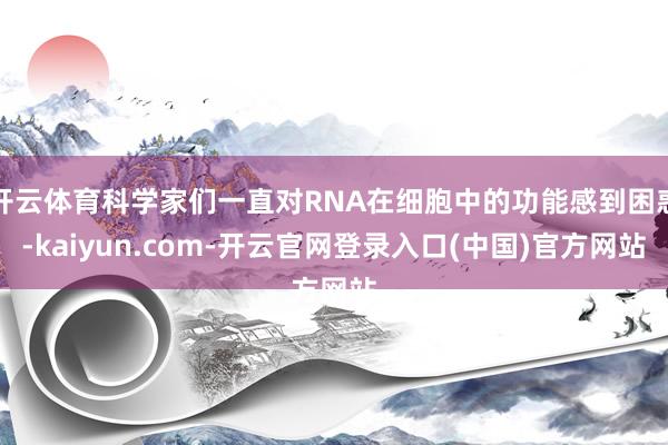 开云体育科学家们一直对RNA在细胞中的功能感到困惑-kaiyun.com-开云官网登录入口(中国)官方网站