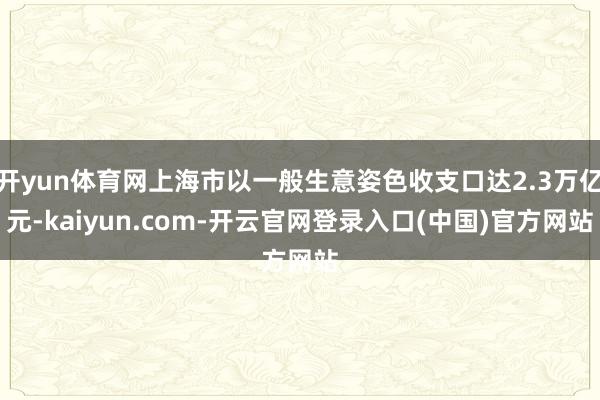 开yun体育网上海市以一般生意姿色收支口达2.3万亿元-kaiyun.com-开云官网登录入口(中国)官方网站